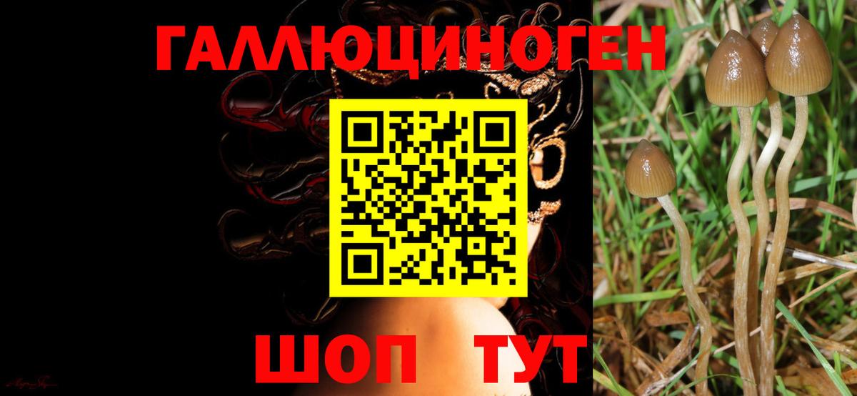 наркошоп  Вход с VPN  Брянск  Псилоцибиновые грибы ЛСД  Галлюциногенные грибы Magic Shrooms 